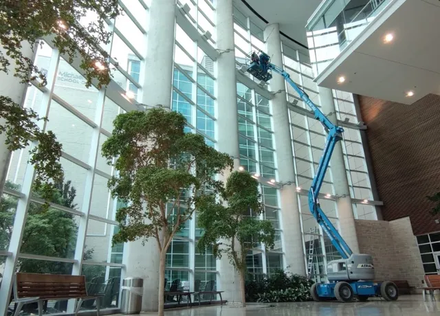 Modern atrium with trees, benches, and a blue lift with a window cleaner working.
