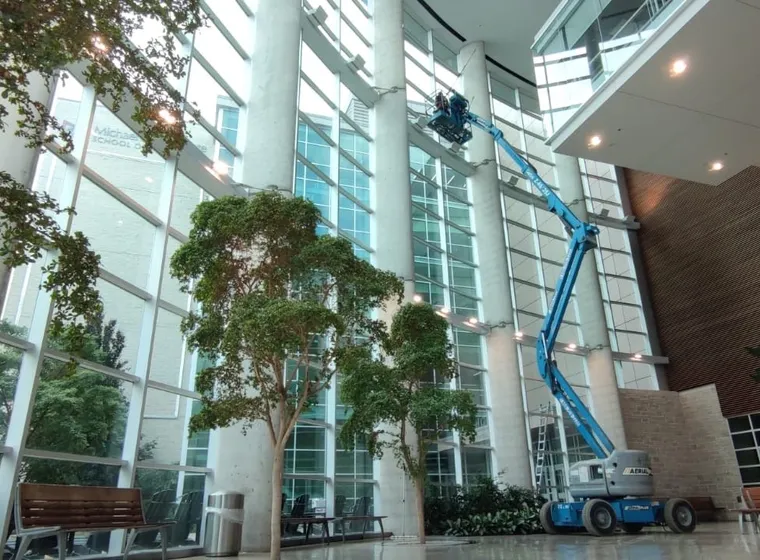 Modern atrium with trees, benches, and a blue lift with a window cleaner working.