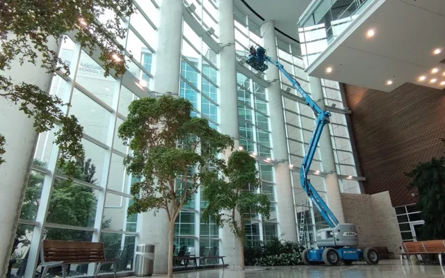 Modern atrium with trees, benches, and a blue lift with a window cleaner working.
