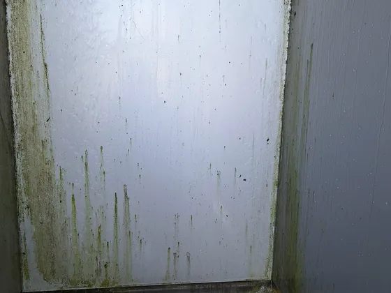 Commercial Window & Metal Panel Cleaning at IESO — photo 3