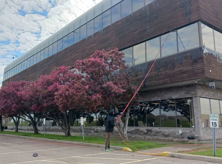 Workers cleaning the windows of a modern glass building. Over the top of trees with blossoms