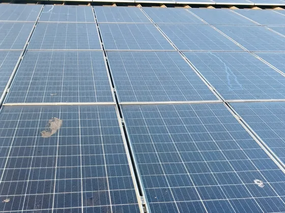 Solar Panel Cleaning at 91 Eastport Blvd, Hamilton — photo 3