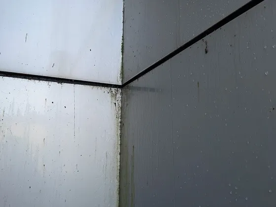 Commercial Window & Metal Panel Cleaning at IESO — photo 1