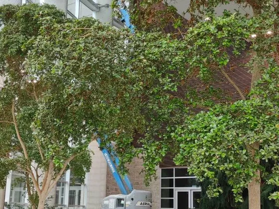 McMaster University — photo 1