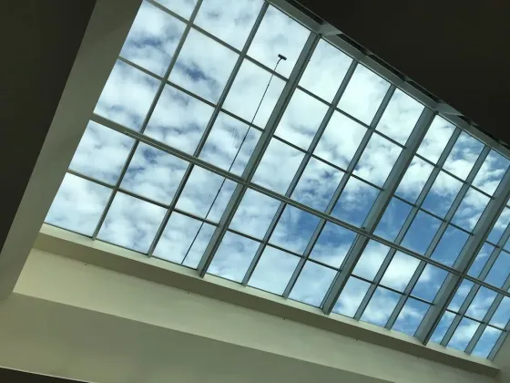 Bramalea City Centre Atrium Window Cleaning Project — photo 4