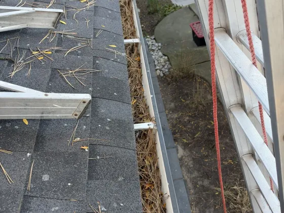 Exterior Window, Skylight & Eavestrough Cleaning in Etobicoke — photo 1
