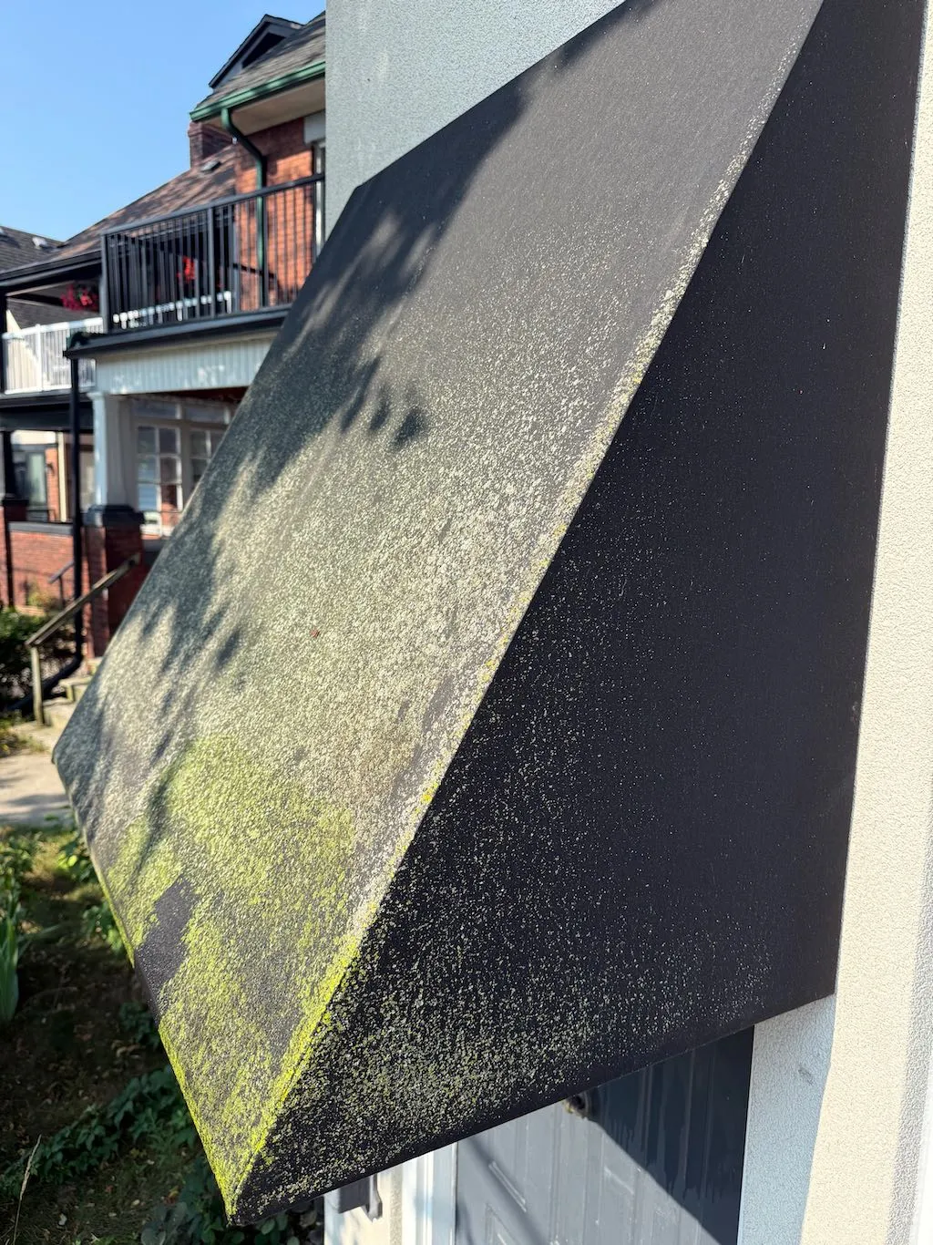 Weathered outdoor awning with mossy buildup and algae
