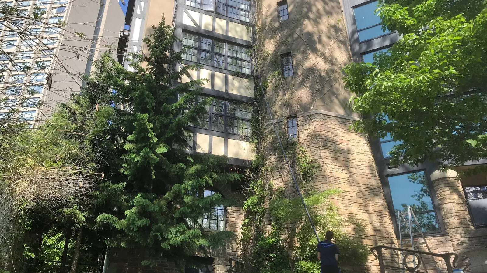 Urban garden with modern buildings and dense foliage.