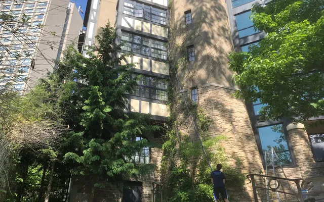 Urban garden with modern buildings and dense foliage.