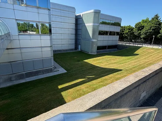 Commercial Window & Metal Panel Cleaning at IESO — photo 7