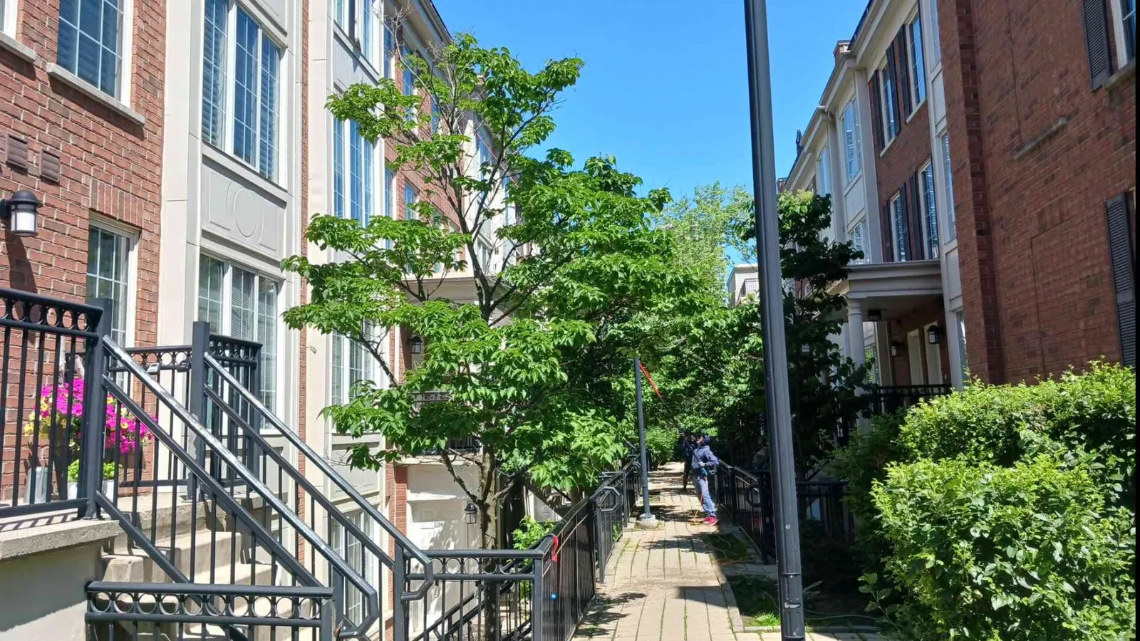 Sunny residential pathway with trees and townhouses.