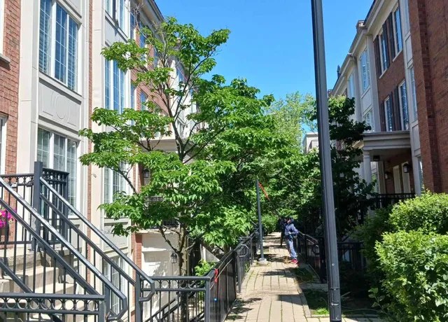 Sunny residential pathway with trees and townhouses.