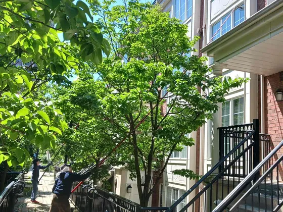Everson Townhouse Complex — photo 3