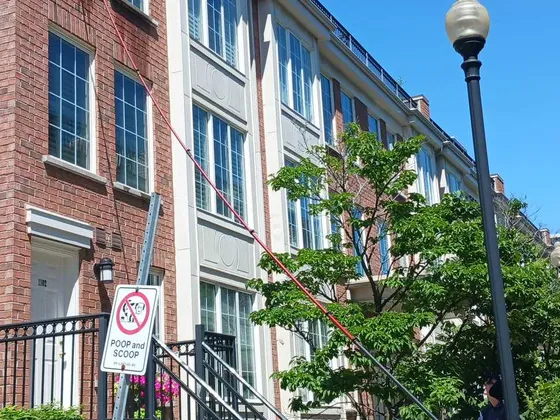 Everson Townhouse Complex — photo 2