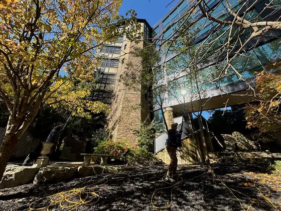 Fall Window Cleaning at The Old Mill Hotel in Toronto — photo 5