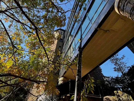 Fall Window Cleaning at The Old Mill Hotel in Toronto — photo 4
