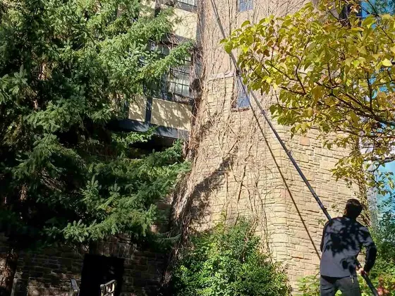 Fall Window Cleaning at The Old Mill Hotel in Toronto — photo 2