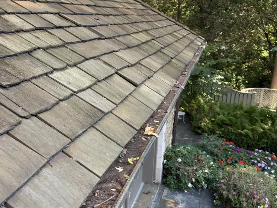 Residential Window Cleaning & Eavestrough Cleaning in Swansea, Toronto — photo 1