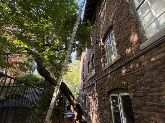Residential Window Cleaning & Eavestrough Cleaning in Swansea, Toronto — photo 3