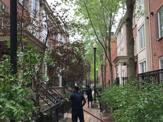 Everson Townhouse Complex — photo 6