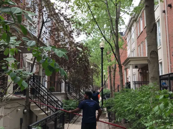Everson Townhouse Complex — photo 7