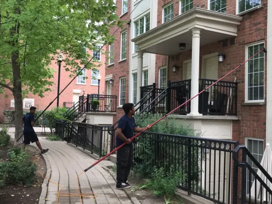 Everson Townhouse Complex — photo 8