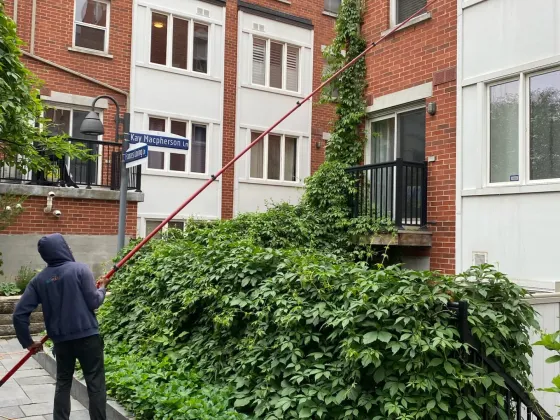 Everson Townhouse Complex — photo 5