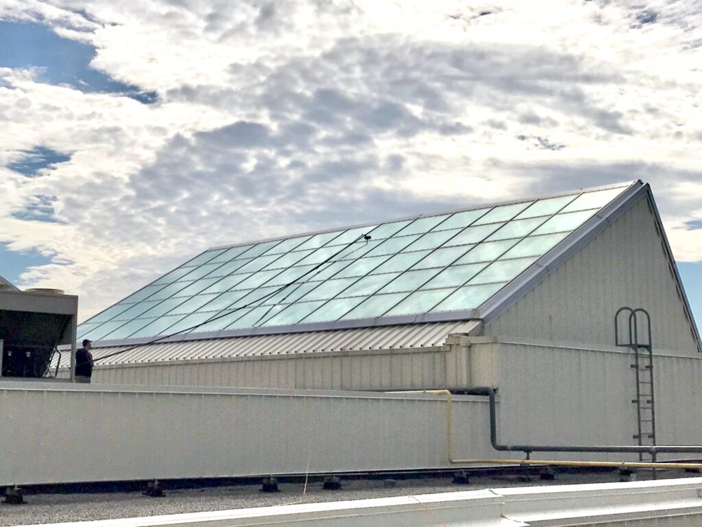 Cleaning of a Skylight Window