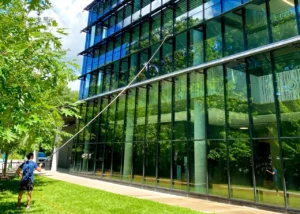 Man cleaning windows of modern glass building surrounded by trees.