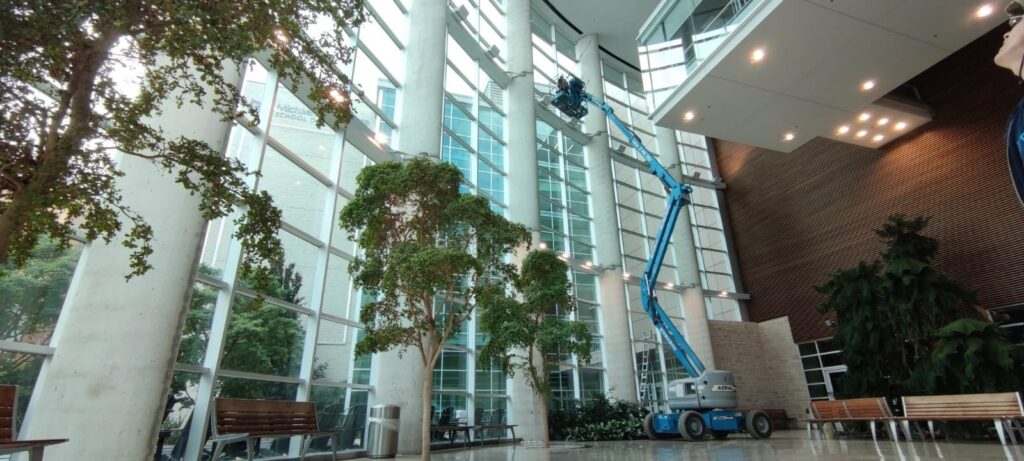 Modern atrium with trees, benches, and a blue lift with a window cleaner working.