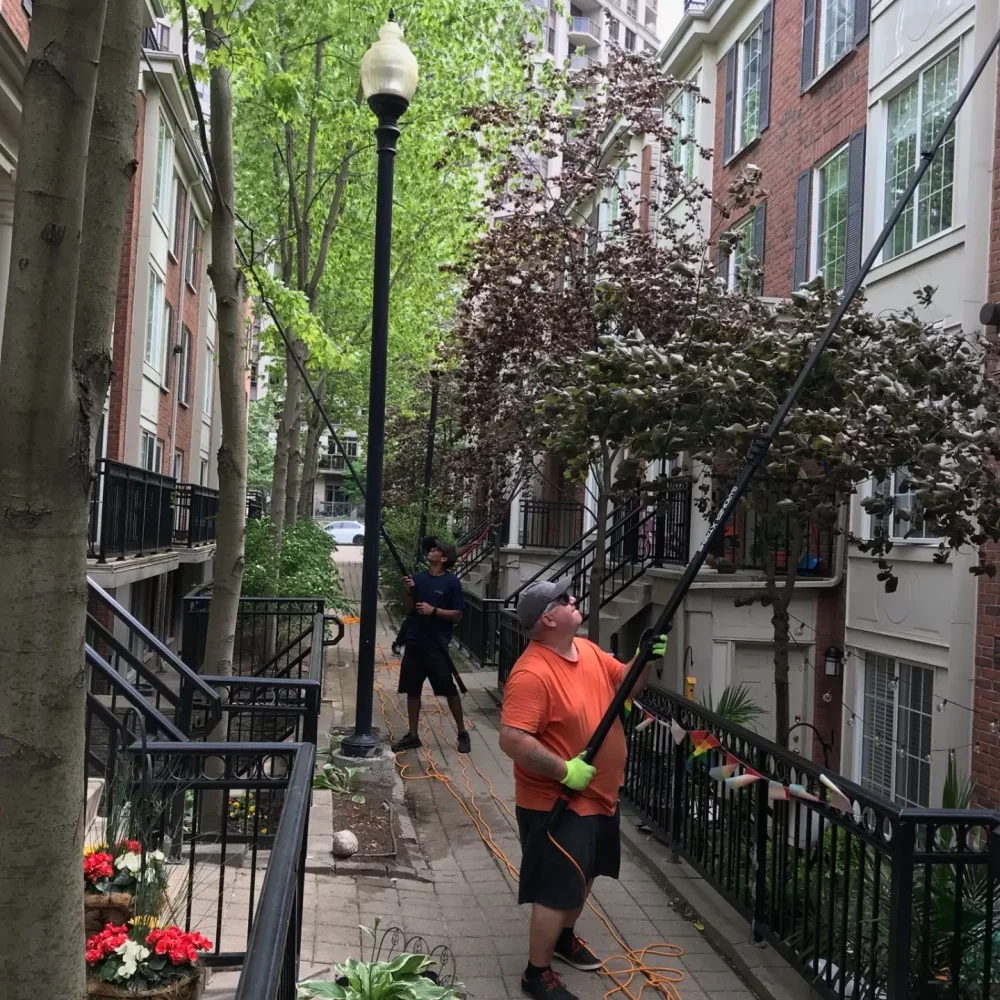 Workers trimming trees in urban residential area.